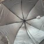 umbrella